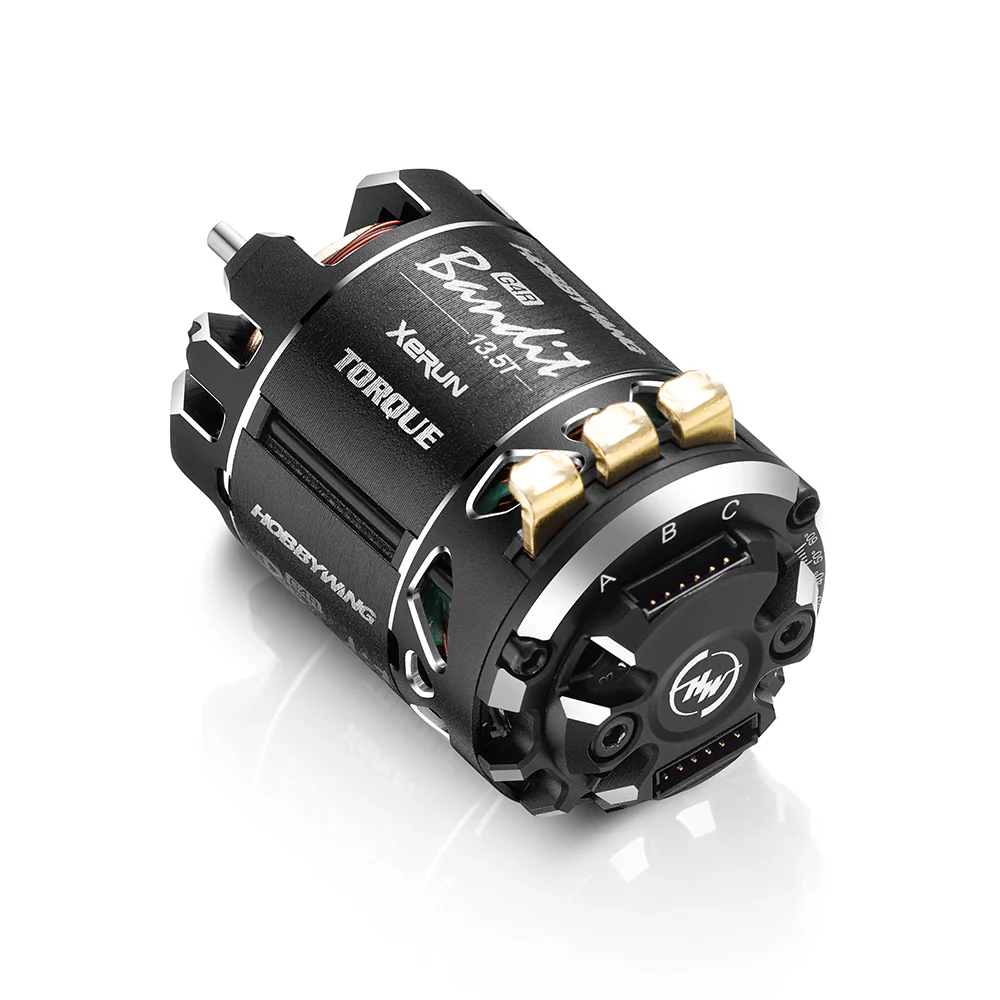 XERUN BANDIT V10 G4R motor - Image 6